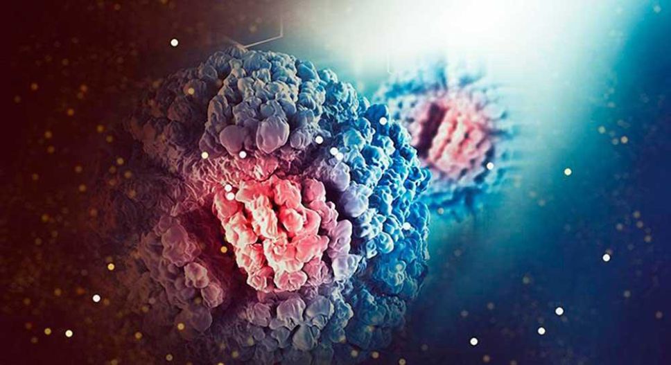 La microbiota corresponde a un diverso grupo bacterias, hongos, virus distribuido en la piel, en las mucosas, en el aparato respiratorio, en el aparato gastrointestinal, donde la más grande se encuentra en el aparato digestivo.